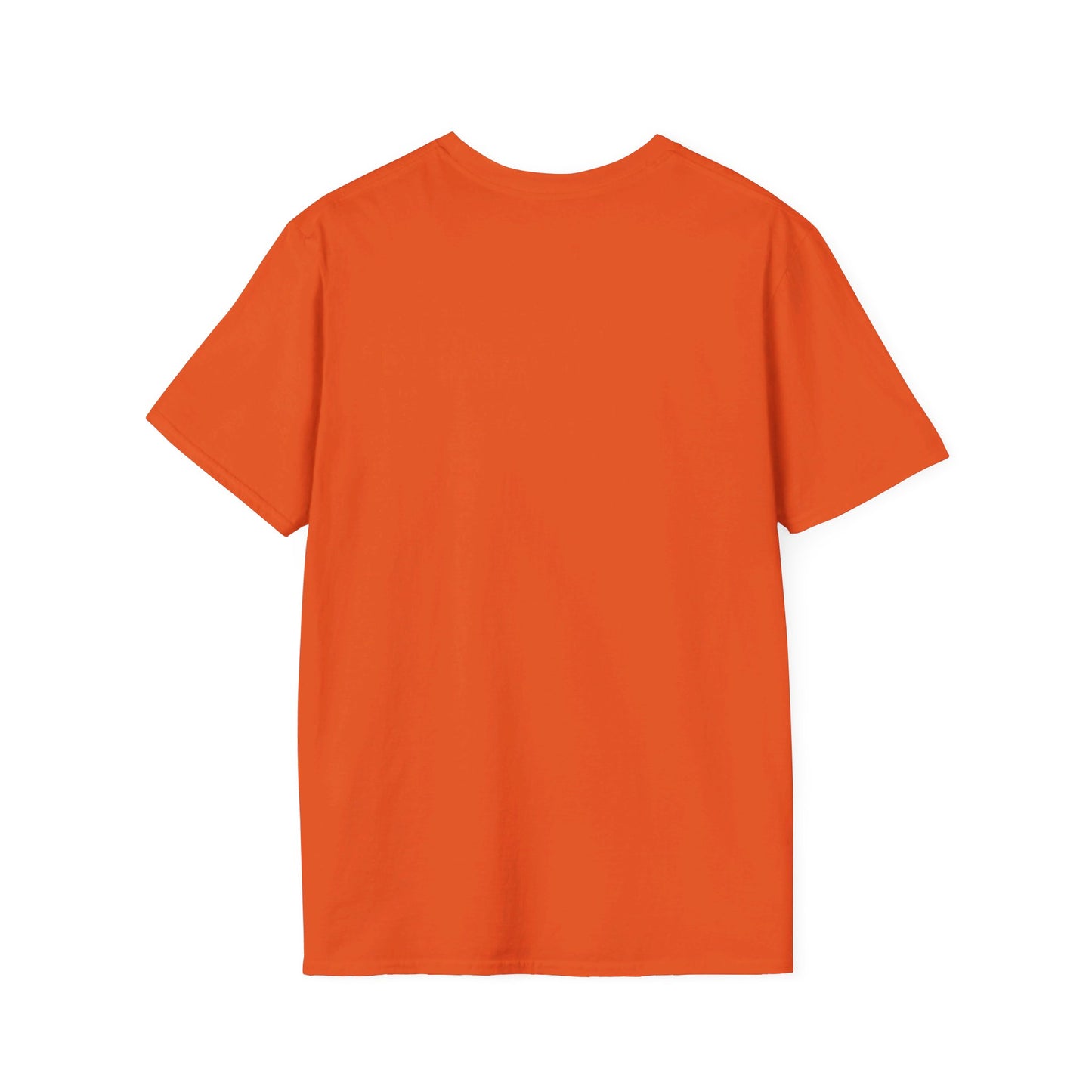 Walk with Jesus Christian Unisex Softstyle T-Shirt