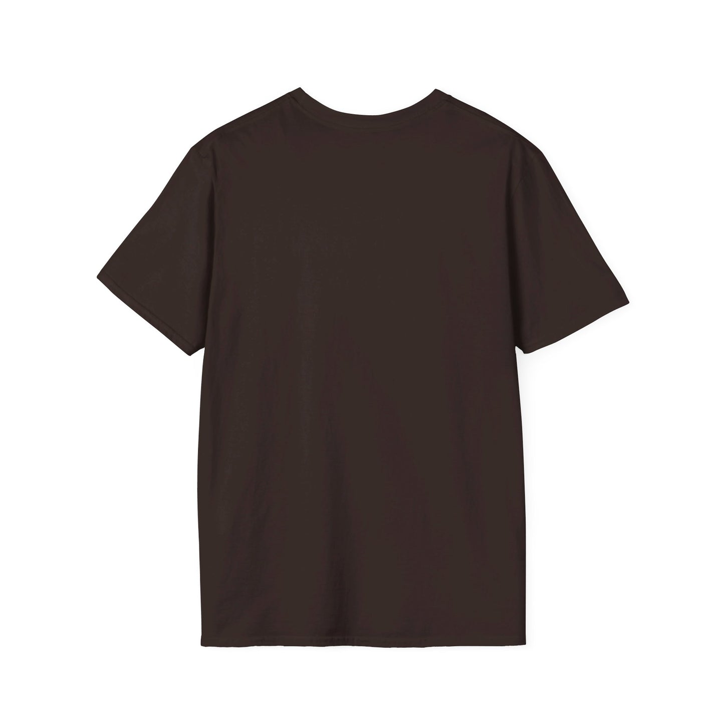 Walk with Jesus Christian Unisex Softstyle T-Shirt