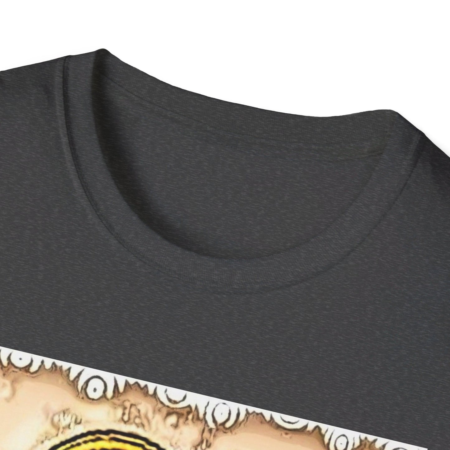 Walk with Jesus Christian Unisex Softstyle T-Shirt